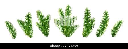 Branches de sapin de Noël. Pin, branches vertes épicéa pour les décorations de Noël. Illustration vectorielle Illustration de Vecteur