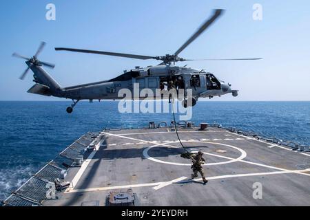 241026-N-AB116-5169 ZONE DE RESPONSABILITÉ DU COMMANDEMENT CENTRAL des États-Unis (26 octobre 2024) deux techniciens chargés de la mise au rebut des engins explosifs de l'US Navy descendent en rappel d'un M. Banque D'Images