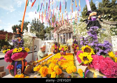 Amealco de Bonfil, Mexique. 01 novembre 2024. Une personne décore les tombes de ses proches avec des fleurs de cempasuchil et tient une veillée au cimetière municipal d'Amealco de Bonfil. Dans le cadre des traditions mexicaines du jour des morts, les gens visitent les tombes de leurs défunts pour passer du temps avec eux, selon les croyances les âmes des défunts rentrent chez eux pour passer du temps avec leurs proches et se nourrir avec la nourriture qui leur est offerte. Le 1er novembre 2024 à Amealco de Bonfil, Mexique. (Photo de Fernando Camacho/ crédit : Eyepix Group/Alamy Live News Banque D'Images