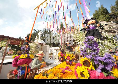 Amealco de Bonfil, Mexique. 01 novembre 2024. Une personne décore les tombes de ses proches avec des fleurs de cempasuchil et tient une veillée au cimetière municipal d'Amealco de Bonfil. Dans le cadre des traditions mexicaines du jour des morts, les gens visitent les tombes de leurs défunts pour passer du temps avec eux, selon les croyances les âmes des défunts rentrent chez eux pour passer du temps avec leurs proches et se nourrir avec la nourriture qui leur est offerte. Le 1er novembre 2024 à Amealco de Bonfil, Mexique. (Photo de Fernando Camacho/Eyepix Group/Sipa USA) crédit : Sipa USA/Alamy Live News Banque D'Images