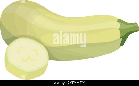 Vecteur vibrant de courge Butternut Ripe pour les représentations alimentaires biologiques Illustration de Vecteur
