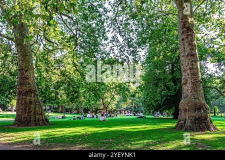Vue sur le parc royal des produits James' Park situé dans la ville de Westminster, le plus ancien des parcs royaux. Londres, Angleterre, Europe Banque D'Images
