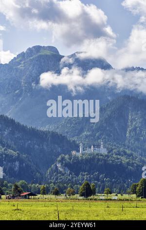 Château de Neuschwanstein dans la brume matinale, été, Schwangau, Ostallgaeu, Allgaeu, Souabe, haute-Bavière, Bavière, Allemagne, Europe Banque D'Images