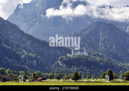 Château de Neuschwanstein dans la brume matinale, été, Schwangau, Ostallgaeu, Allgaeu, Souabe, haute-Bavière, Bavière, Allemagne, Europe Banque D'Images