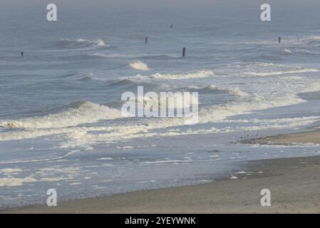 Vagues sortantes sur la plage nord, pieux de limite, brouillard marin sur la mer du Nord, Norderney, îles de Frise orientale, basse-Saxe, Allemagne, Europe Banque D'Images