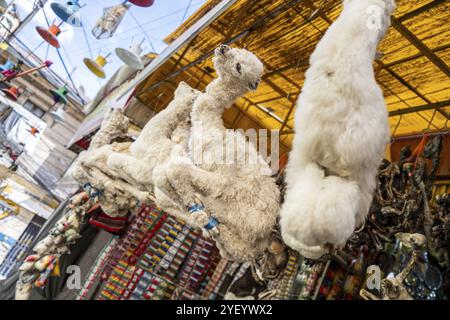 Foetus de lama séchés, le marché des sorcières, la Paz, Bolivie, Amérique du Sud Banque D'Images