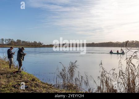Brieskow Finkenheerd, Allemagne. 02 novembre 2024. Frank Weichler (à g.) et Thilo Pagel (à d.) de l'Institut des pêches intérieures Potsdam-Sacrow et Jan Kryszolik de l'Institut des pêches intérieures d'Olsztyn, Pologne, prennent un bateau pour rejoindre les pêcheurs à la ligne qui se tiennent sur l'Oder. Pour la deuxième fois cette année, les pêcheurs sur le cours d'eau principal de l'Oder sont invités à « pêcher pour la science ». L'objectif est d'observer l'évolution des stocks halieutiques. Crédit : Frank Hammerschmidt/dpa/Alamy Live News Banque D'Images