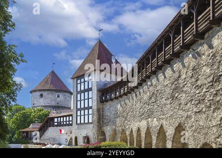 Tour de la jeune fille (Neitsitorn), autrefois construite comme tour de défense au XIVe siècle, Tallinn, Estonie, Europe Banque D'Images