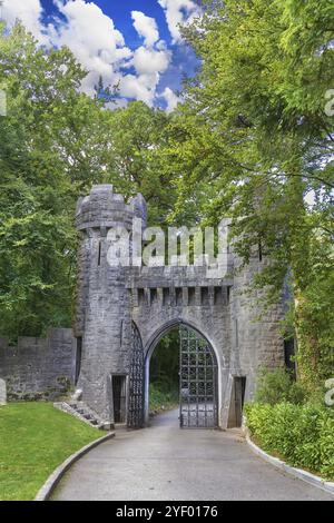 Gete dans le parc du château d'Ashford, Irlande, Europe Banque D'Images