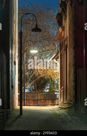 La banlieue de Sydney de The Rocks, établie lors de la colonisation en 1788, contient de nombreux sites classés au patrimoine et est la plus ancienne banlieue d'Australie. Ses bâtiments, escaliers et arcades ont été construits avec du grès local, d'où le nom de la région. Jusqu'aux années 1870, c'était un bidonville où les « gangs de rasoirs » flânaient la nuit dans les ruelles. C'est maintenant un quartier touristique chargé d'histoire entouré de Dawes point, Millers point et Barangaroo, souvent considéré comme faisant partie du quartier des Rocks. Photo : une vue nocturne de long's Lane, vue de Gloucester Street regardant vers Cumberland Street. Banque D'Images