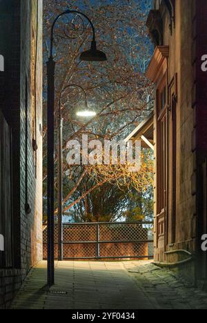 La banlieue de Sydney de The Rocks, établie lors de la colonisation en 1788, contient de nombreux sites classés au patrimoine et est la plus ancienne banlieue d'Australie. Ses bâtiments, escaliers et arcades ont été construits avec du grès local, d'où le nom de la région. Jusqu'aux années 1870, c'était un bidonville où les « gangs de rasoirs » flânaient la nuit dans les ruelles. C'est maintenant un quartier touristique chargé d'histoire entouré de Dawes point, Millers point et Barangaroo, souvent considéré comme faisant partie du quartier des Rocks. Photo : une vue nocturne de long's Lane, vue de Gloucester Street regardant vers Cumberland Street. Banque D'Images