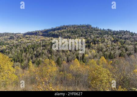 Montagnes boisées à Adygea en automne, Russie, Europe Banque D'Images