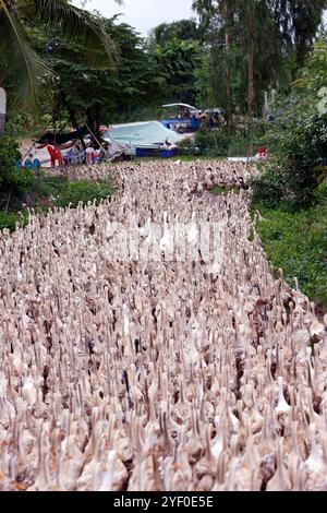 Beaucoup de canards au vietnam, concept de ferme d'industrie. Banque D'Images