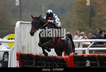 Down Royal, Irlande du Nord. Samedi 2 novembre 2024. Romeo Coolio et Sam Ewing remportent le Tayto Group Maiden Hurdle pour l'entraîneur Gordon Elliott et les propriétaires KTDA Racing Credit : JTW Equine images/Alamy Live News Credit : JTW Equine images/Alamy Live News Banque D'Images