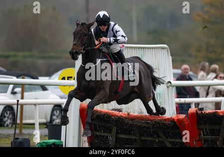 Down Royal, Irlande du Nord. Samedi 2 novembre 2024. Romeo Coolio et Sam Ewing remportent le Tayto Group Maiden Hurdle pour l'entraîneur Gordon Elliott et les propriétaires KTDA Racing Credit : JTW Equine images/Alamy Live News Credit : JTW Equine images/Alamy Live News Banque D'Images