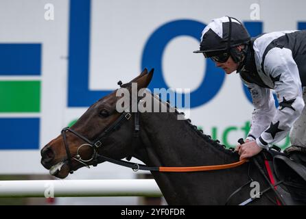 Down Royal, Irlande du Nord. Samedi 2 novembre 2024. Romeo Coolio et Sam Ewing remportent le Tayto Group Maiden Hurdle pour l'entraîneur Gordon Elliott et les propriétaires KTDA Racing Credit : JTW Equine images/Alamy Live News Credit : JTW Equine images/Alamy Live News Banque D'Images