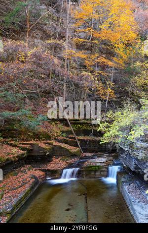 Couleur d'automne dans Robert H Treman State Park Banque D'Images