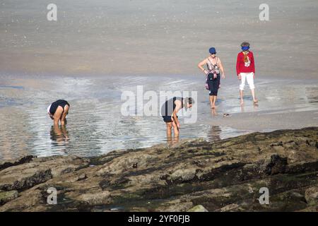 Sanxenxo, Espagne, 02 novembre 2024 : plusieurs personnes à la recherche de coquillages dans la vie quotidienne à Sanxeno, le 02 novembre 2024, à Sanxenxo, Espagne. Crédit : Alberto Brevers / Alamy Live News. Banque D'Images