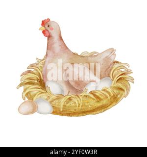 Poulet mignon dans le nid avec la composition des œufs sur blanc. Illustration aquarelle poule dans le style enfants pour textile, vaisselle de décoration, fêtes d'enfants, anniversaire, Pâques. Banque D'Images