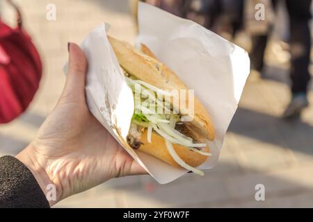 Pain de poisson de rue turc avec oignons et légumes verts / Balik Ekmek Banque D'Images