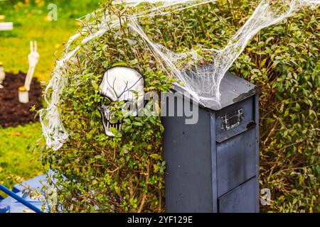 Décoration de masque de crâne d'Halloween sur le buisson avec toile d'araignée près de la boîte aux lettres le jour de pluie dans la cour résidentielle. Banque D'Images