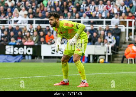 Le gardien de but de l'Arsenal David Raya (22 ans) lors du match Newcastle United FC contre Arsenal FC English premier League James' Park, Newcastle, Angleterre, Royaume-Uni le 2 novembre 2024 crédit : Every second Media/Alamy Live News Banque D'Images