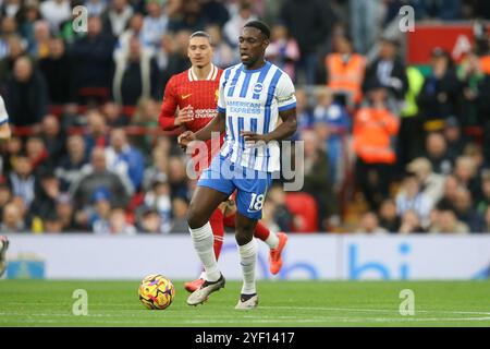 Liverpool, Royaume-Uni. 02 novembre 2024. Danny Welbeck de Brighton & Hove Albion en action. Premier League match, Liverpool v Brighton & Hove Albion à Anfield à Liverpool le samedi 2 novembre 2024. Cette image ne peut être utilisée qu'à des fins éditoriales. Usage éditorial exclusif. photo par Chris Stading/Andrew Orchard photographie sportive/Alamy Live News crédit : Andrew Orchard photographie sportive/Alamy Live News Banque D'Images