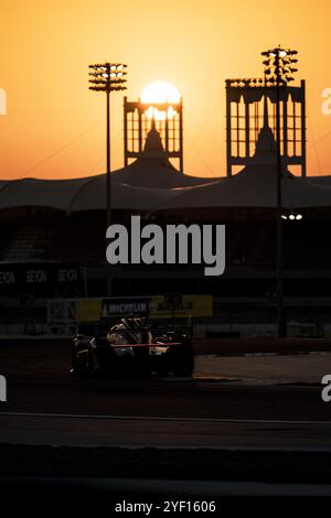 Lors des 8 heures de Bahreïn 2024, 8ème manche du Championnat du monde d'Endurance FIA 2024, du 31 octobre au 2 novembre 2024 sur le circuit international de Bahreïn à Sakhir, Bahreïn Banque D'Images