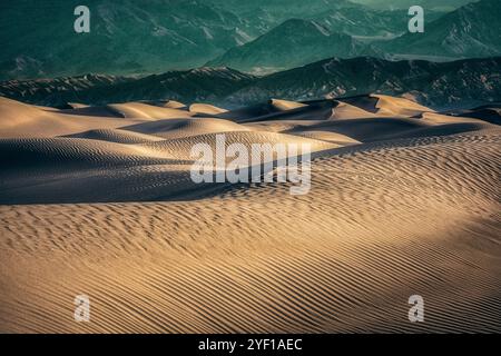 Le sable doré des dunes de sable Mesquite Flat dans la vallée de la mort, en Californie, scintillent comme un vaste océan de vagues. Banque D'Images