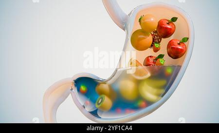 Estomac avec des fruits, perte de poids et de nutrition, nourriture saine pour le système digestif, concept alimentaire médical et de santé. Régime fitness, Swee Banque D'Images