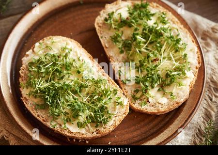 Pousses de cresson de jardin sur deux tranches de pain au levain dans une assiette Banque D'Images