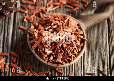 Copeaux de bois de santal rouge sur une cuillère en bois Banque D'Images