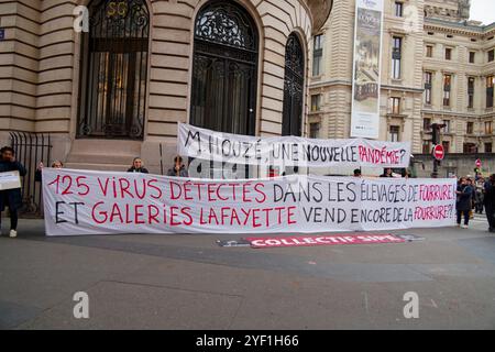 Paris, France. 2 novembre 2024. Rassemblement anti-fourrure par le collectif SIPE demandant l'adoption d'une politique anti-fourrure dans toutes les entreprises du groupe Galeries Lafayette le 2 novembre 2024 à Paris. Crédit : Bernard Menigault/Alamy Live News Banque D'Images