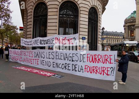 Paris, France. 2 novembre 2024. Rassemblement anti-fourrure par le collectif SIPE demandant l'adoption d'une politique anti-fourrure dans toutes les entreprises du groupe Galeries Lafayette le 2 novembre 2024 à Paris. Crédit : Bernard Menigault/Alamy Live News Banque D'Images