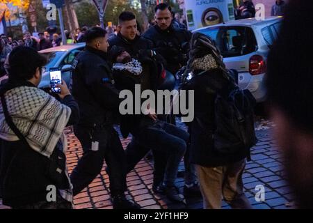 Berlin, Allemagne. 02 novembre 2024. Des policiers placent en détention un participant à une manifestation pro-palestinienne. Plusieurs centaines de personnes ont manifesté leur solidarité avec la Palestine. Entre autres choses, ils ont exigé la fin de la fourniture d'armes à Israël et la fin de la guerre dans la bande de Gaza. Crédit : Christophe Gateau/dpa/Alamy Live News Banque D'Images