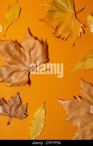 Fond d'automne avec des feuilles d'érable et de chêne sèches sur fond brun. Concept sesonal de vacances Banque D'Images