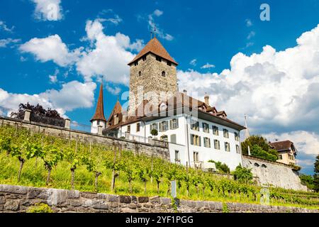 Extérieur du château de Spiez, Spiez, Suisse Banque D'Images