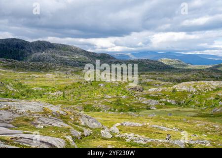 Rochers en Norvège à la douane de Bjornfjell à la frontière de la Norvège et de la Suède Banque D'Images