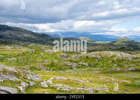 Rochers en Norvège à la douane de Bjornfjell à la frontière de la Norvège et de la Suède Banque D'Images