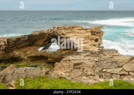 Arche à Cape Vlamingh, Rottnest Island, Australie occidentale, Australie Banque D'Images