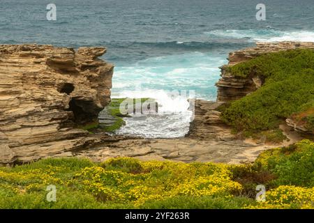 Rochers à Cape Vlamingh, Rottnest Island, Australie occidentale, Australie Banque D'Images