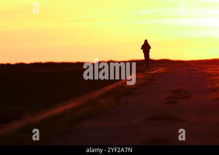 Westermarkelsdorf Auf Fehmarn, Allemagne. 15 octobre 2024. 15.10.2024, Westermarkelsdorf sur l'île de Fehmarn. Une jeune femme monte un e-scooter au-dessus d'une digue dans le contre-jour des derniers rayons du soleil du soir. Elle ne peut être vue que comme une silhouette sombre. Crédit : Wolfram Steinberg/dpa crédit : Wolfram Steinberg/dpa/Alamy Live News Banque D'Images