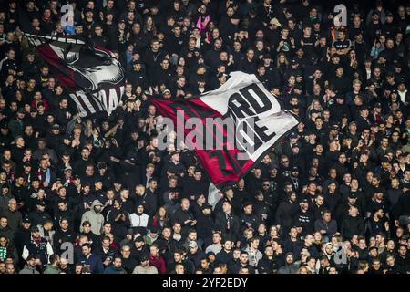 Rotterdam, pays-Bas. 02 novembre 2024. Rotterdam - fans de Feyenoord lors de la onzième manche de la saison Eredivisie 2024/2025. Le match se déroule entre Feyenoord et AZ au Stadion Feijenoord de Kuip le 2 novembre 2024 à Rotterdam, aux pays-Bas. Crédit : Box to Box Pictures/Alamy Live News Banque D'Images