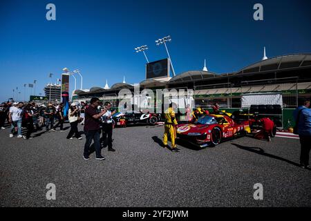 Grid Walk pendant les 8 heures de Bahreïn 2024, 8ème manche du Championnat du monde d'Endurance FIA 2024, du 31 octobre au 2 novembre 2024 sur le circuit International de Bahreïn à Sakhir, Bahreïn - photo Charly Lopez / DPPI Banque D'Images