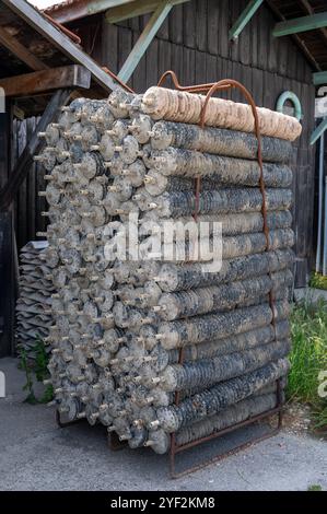 Voyager en France, vieilles cabanes en bois et élevages d'huîtres dans le village de Gujan-Mestras, culture, pêche et vente de coquillages d'huîtres fraîches, Arcachon b Banque D'Images