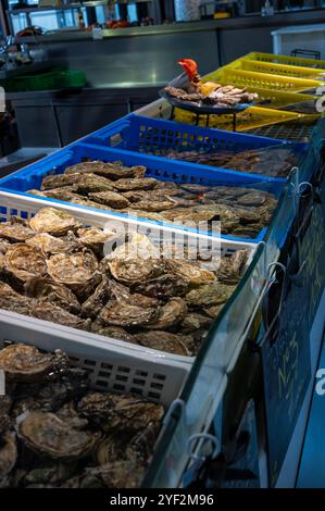 Huîtres fraîches de différentes tailles dans la halle de marché prêtes à être mangées pour le déjeuner, de près, du village ostréicole, baie d'Arcachon, Gujan-Mestras, Bor Banque D'Images