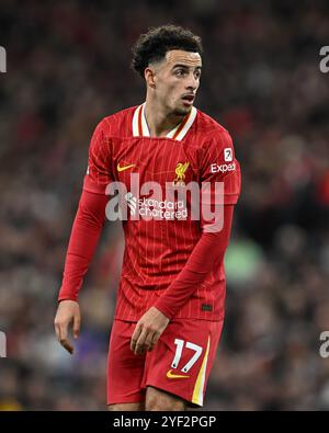 Curtis Jones de Liverpool lors du match de premier League Liverpool vs Brighton et Hove Albion à Anfield, Liverpool, Royaume-Uni, le 2 novembre 2024 (photo de Cody Froggatt/News images) Banque D'Images