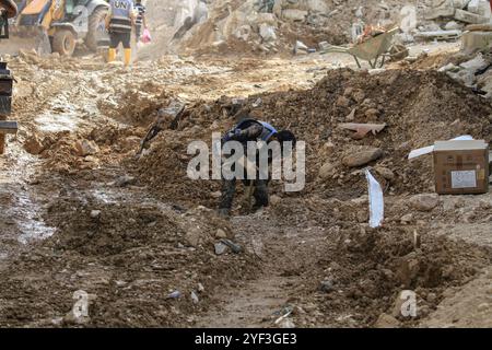 Tulkarm, Palestine. 02 novembre 2024. Un travailleur de l'ONU mène des travaux de réhabilitation à proximité du siège endommagé de l'UNRWA de l'agence des Nations Unies pour les réfugiés palestiniens dans le camp de réfugiés de Nur Shams à l'est de Tulkarem en Cisjordanie occupée, après que les forces israéliennes ont démoli la plupart du bâtiment lors de leur dernier raid dans le camp. Crédit : SOPA images Limited/Alamy Live News Banque D'Images