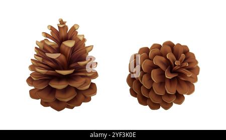 Pommes de pin de conifères ensemble d'icônes vectorielles réalistes Illustration de Vecteur