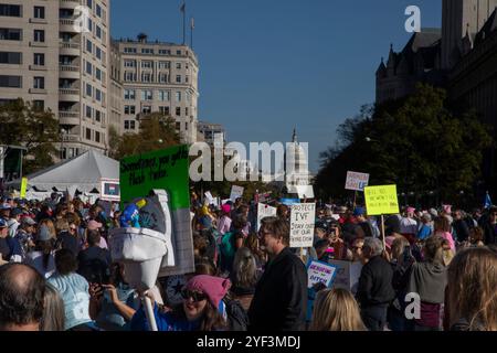 Washington DC, États-Unis. 2 Nov 2024. Quelques jours seulement avant les élections américaines, des milliers de manifestantes ont assisté à la marche des femmes en soutien à la vice-présidente Kamala Harris à Washington DC, aux États-Unis, le 2 novembre 2024. La Marche des femmes est un mouvement dirigé par les femmes qui défend un large éventail de questions, y compris l’antiracisme, le droit de vote, l’égalité salariale et la liberté reproductive. Crédit : Aashish Kiphayet/Alamy Live News Banque D'Images